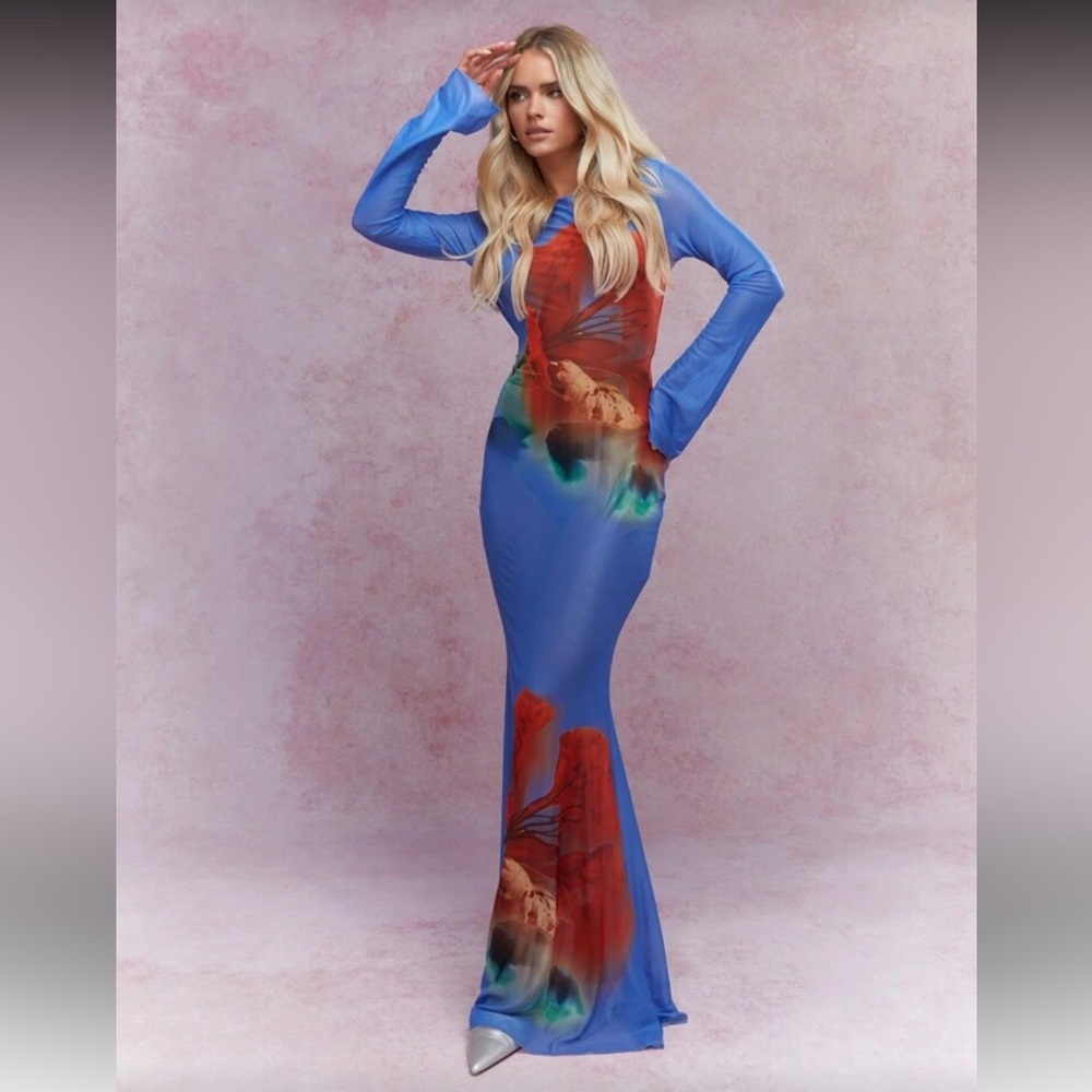 MISSGUIDED Sheer Mermaid Backless Maxi Dress